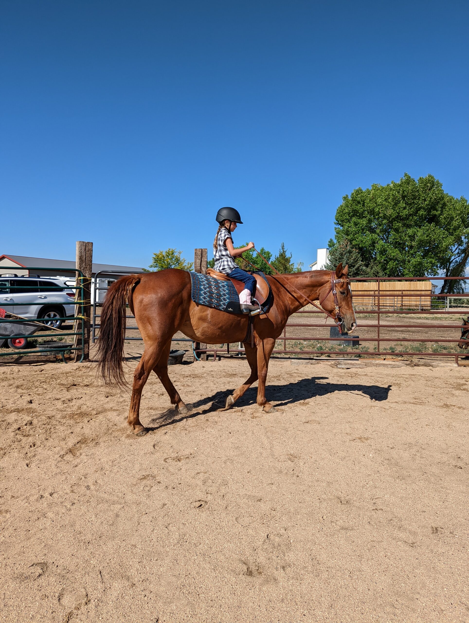 Horseback Riding Lessons NOCO Equine